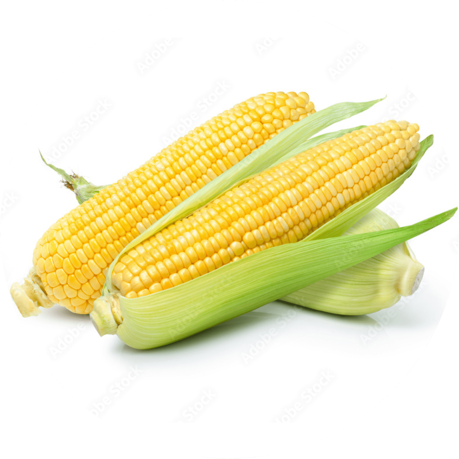 Sweet corn 