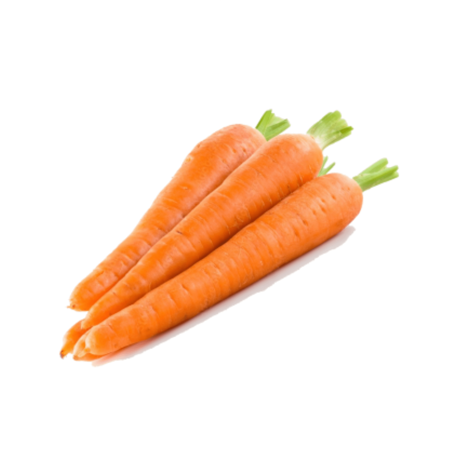 Carrot