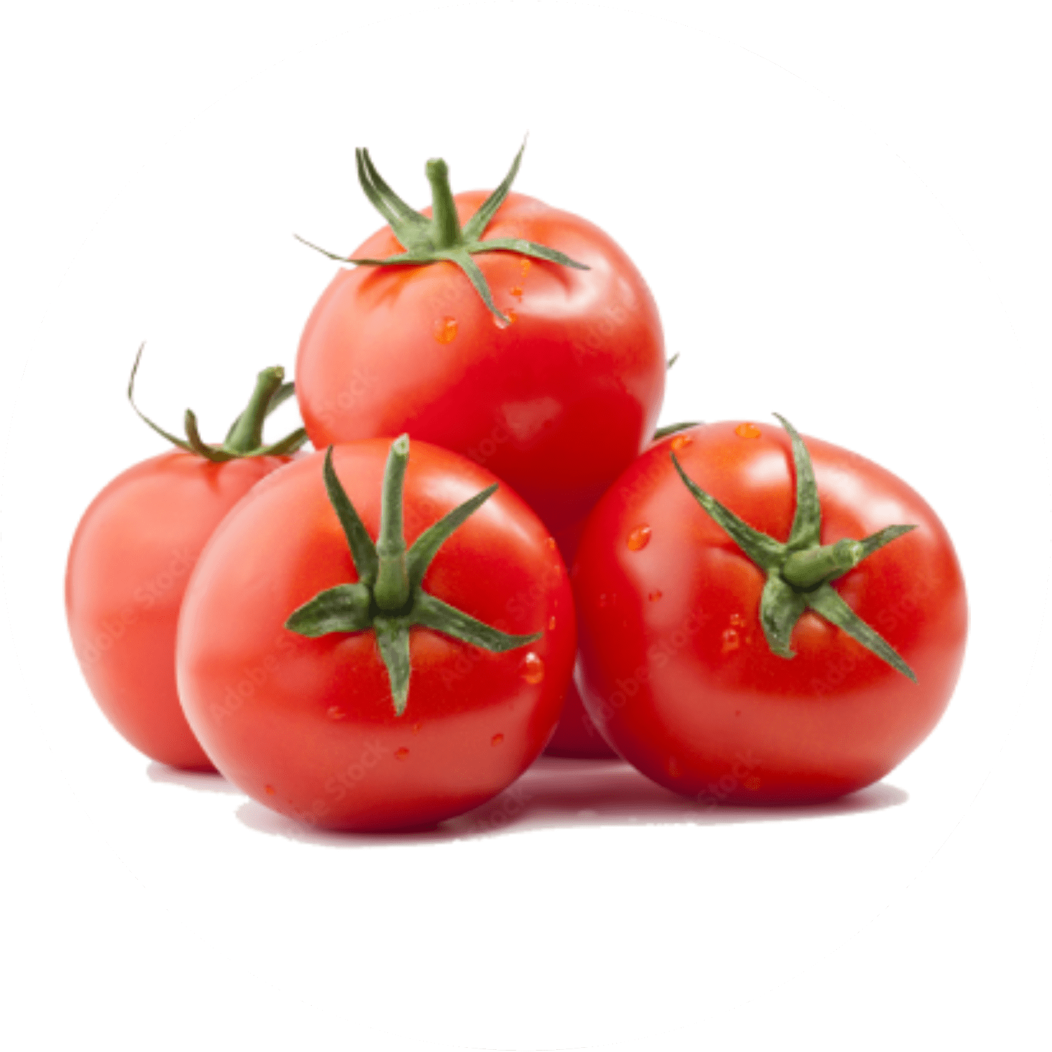Tomato
